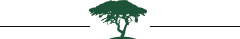 Tree Icon